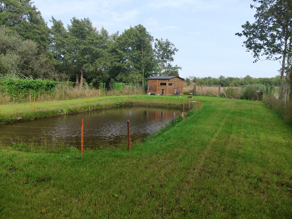 Działka rolna 3000m2 że stawkiem i domkiem pod rekreację