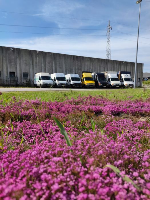 Empresa de Mudanças em Aveiro e longas distâncias