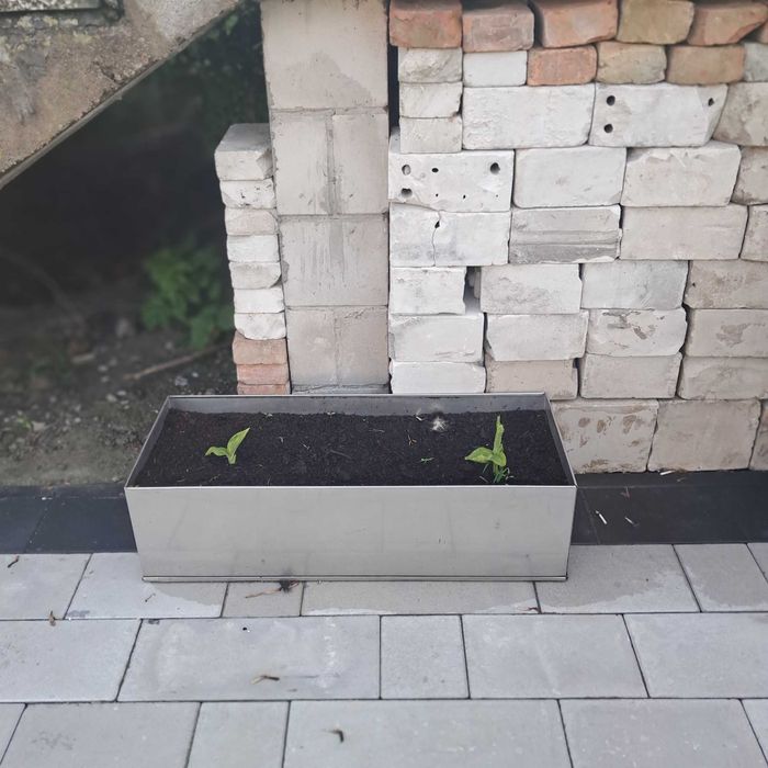4x doniczki ze stali nierdzewnej, kanna żółta , 80zł szt