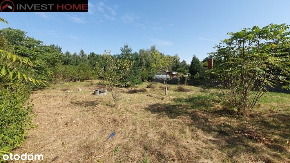 działka w sąsiedztwie lasów - Widok 3