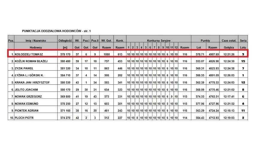 Gołębie pocztowe - młode 2026 od Mistrza