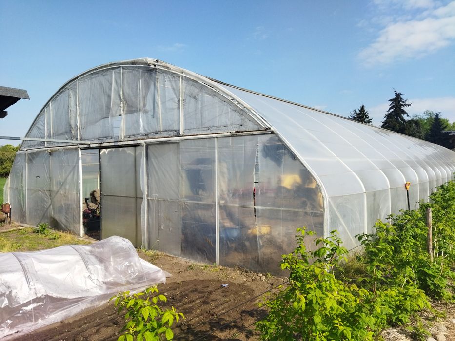 Tunel foliowy, konstrukcja tunelu ogrodniczego