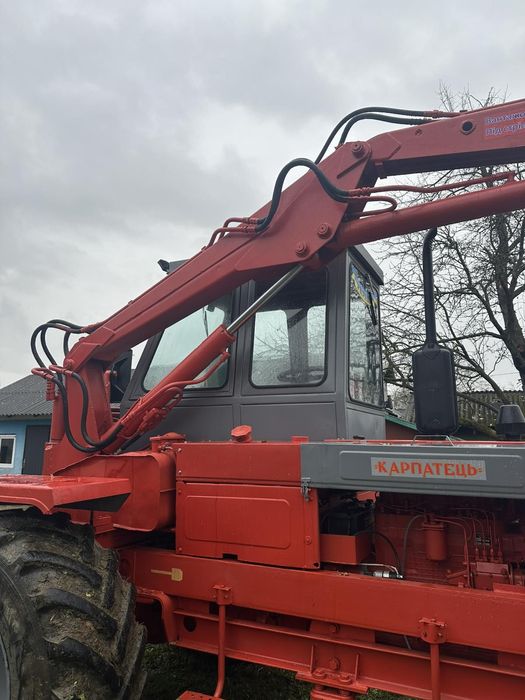 Продається карпатець