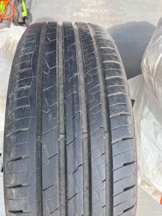 Opony letnie Dębica