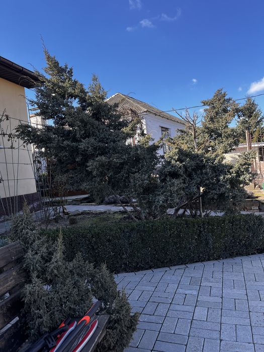 Обслуживания садочка _topiarnyyestrizhki_07?