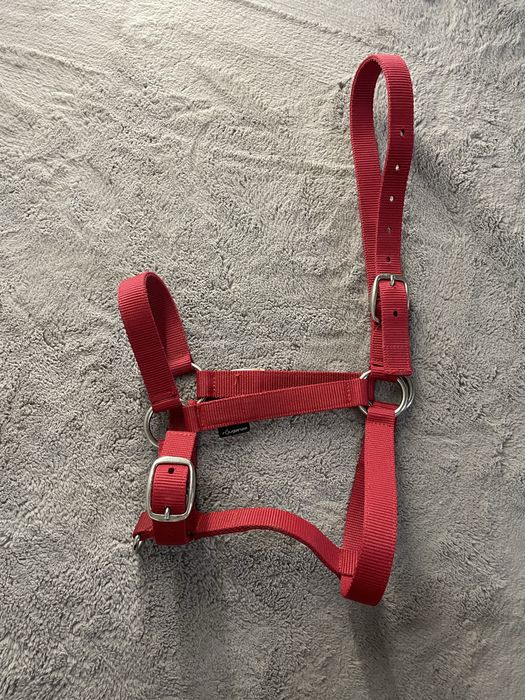 Zestaw kantary i uwiązy