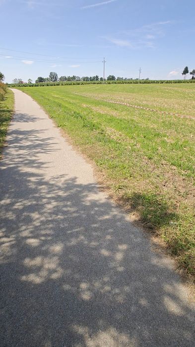 Działki budowlane 30ar, 41ar - Widok 4
