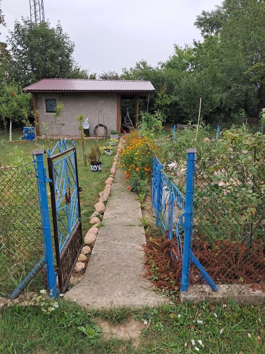 Dzialka ROD ,,ZIELONY JAWOR,, zadbana dużo nowych nasadzeń ( drzewka owocowe ,krzewy)