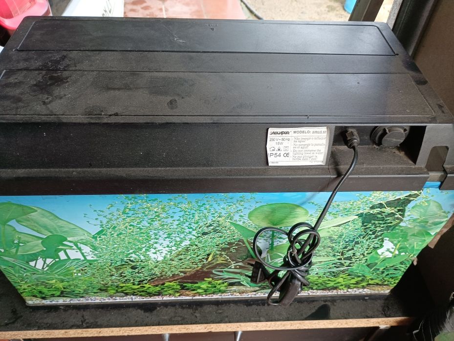 Aquário completo