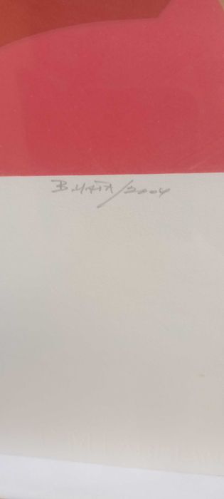 Serigrafia de Bravo da Mata