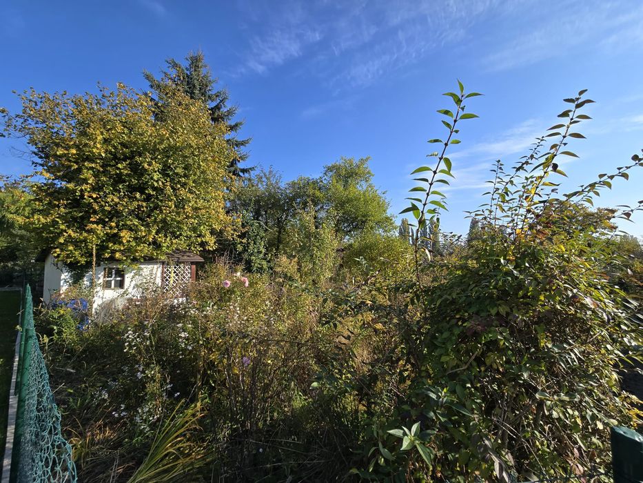 Działka ROD PLON – Wrocław, ul. Góralska | 339 m² - Widok 5