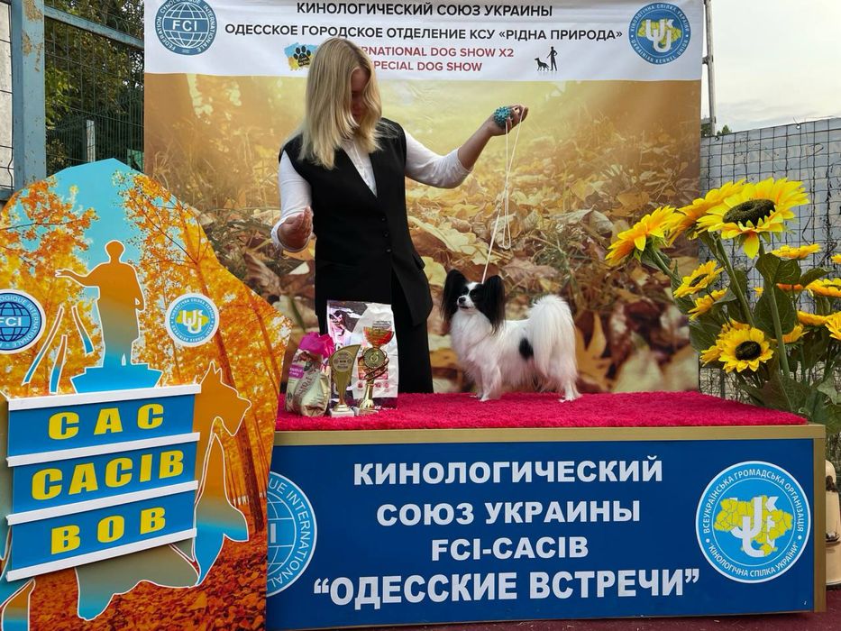 Профессиональный хендлер Одесса