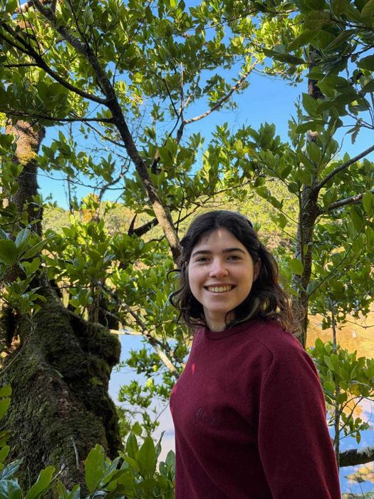 Explicadora de Matemática - 3º ciclo a 12º ano