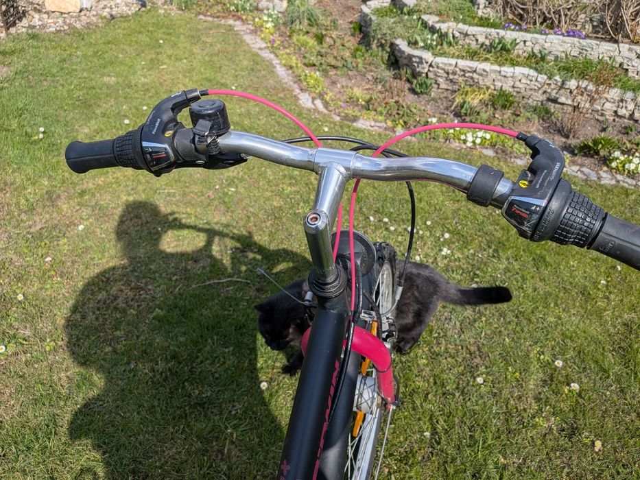 Rower miejski cena do negocjacji