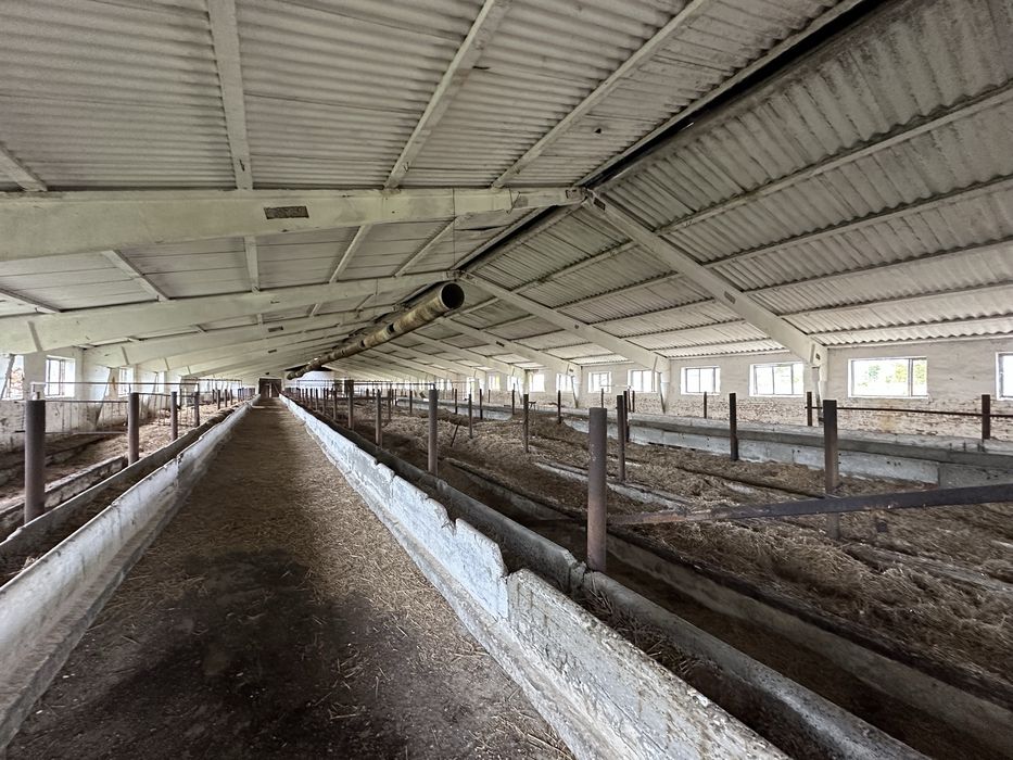 Продам ферму в с. Живачів від Власника, споруди 20,400м2, 16,1га землі