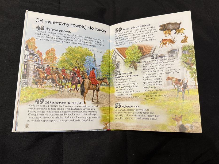 Książka - 101 ciekawostek. Konie – Olesiejuk