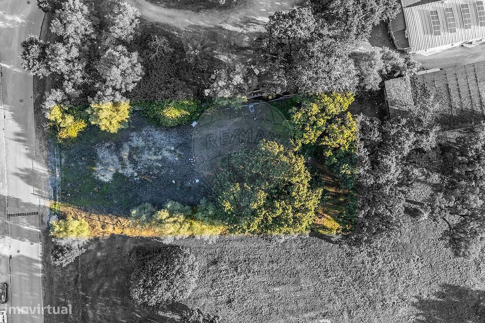 Terreno  para venda