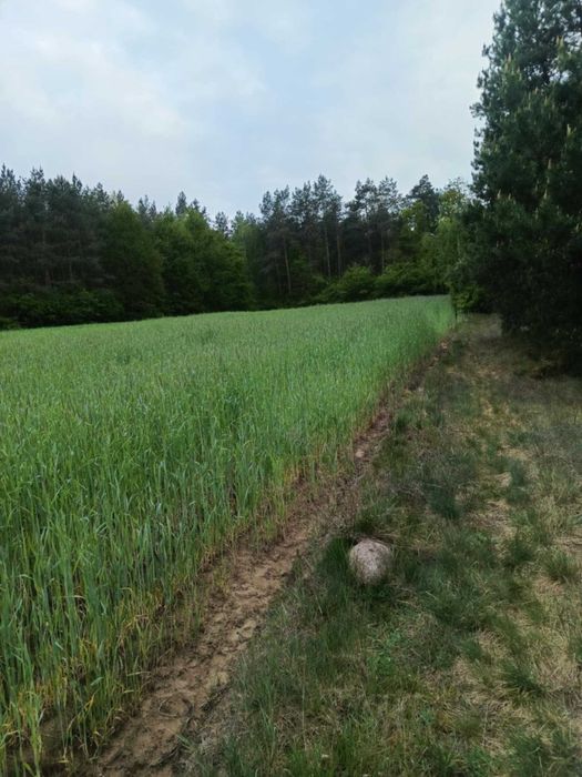 działka budowlana
