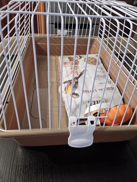 Gaiola para coelho anao pouco uso