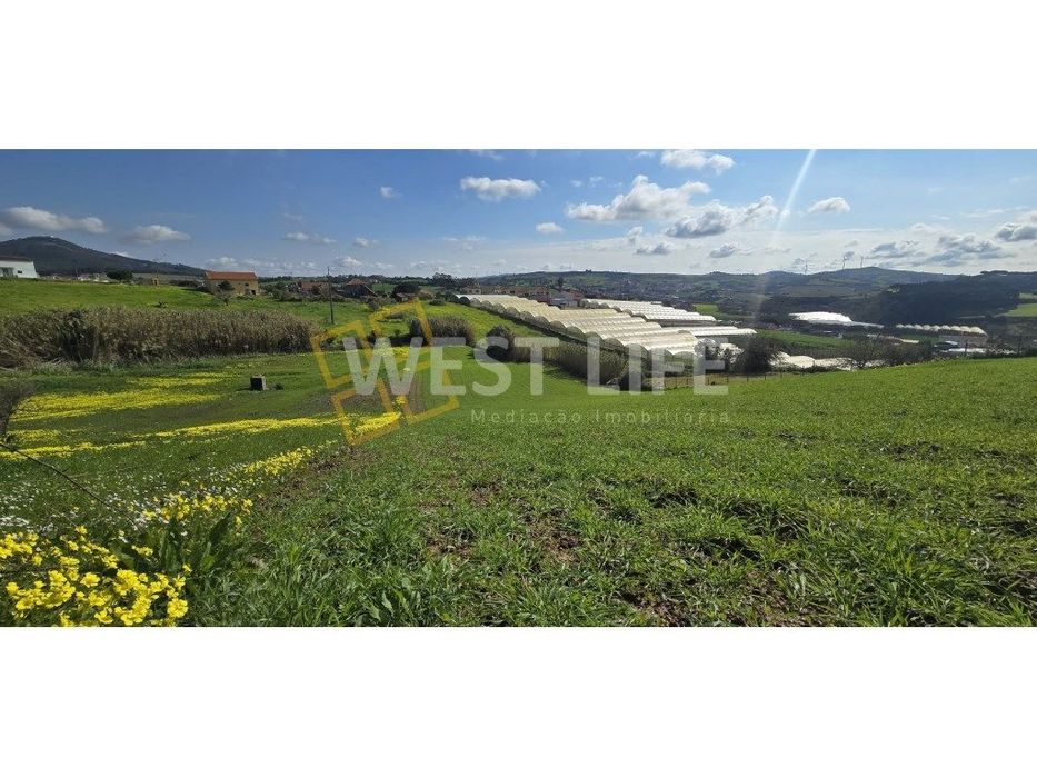 Terreno Rústico com 5215m2 - Armazém e casa e arrumos/arrecadação -...