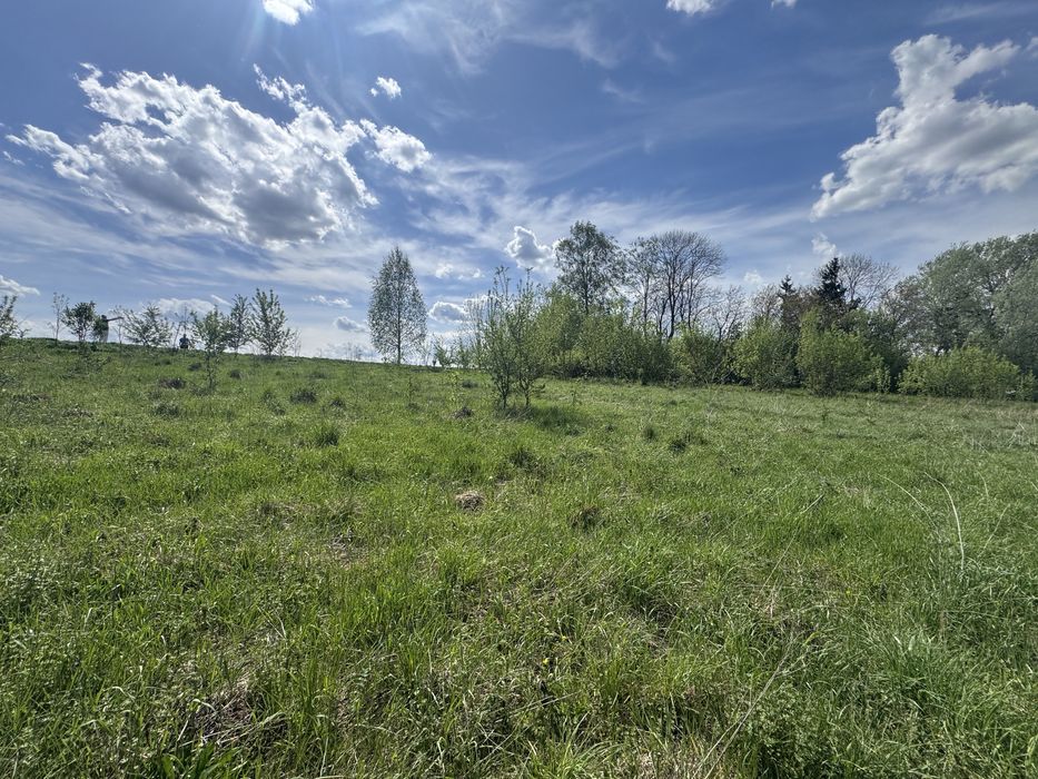 Продаж земельної ділянки  в Смиківцях