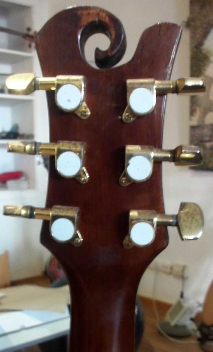 guitara electra accoustica