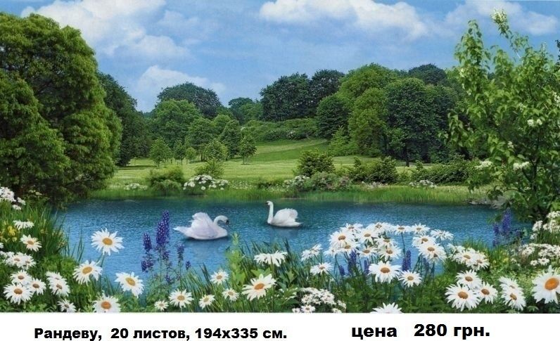 ФОТООБОИ. Большие размеры. Шпалери. Фотошпалери.