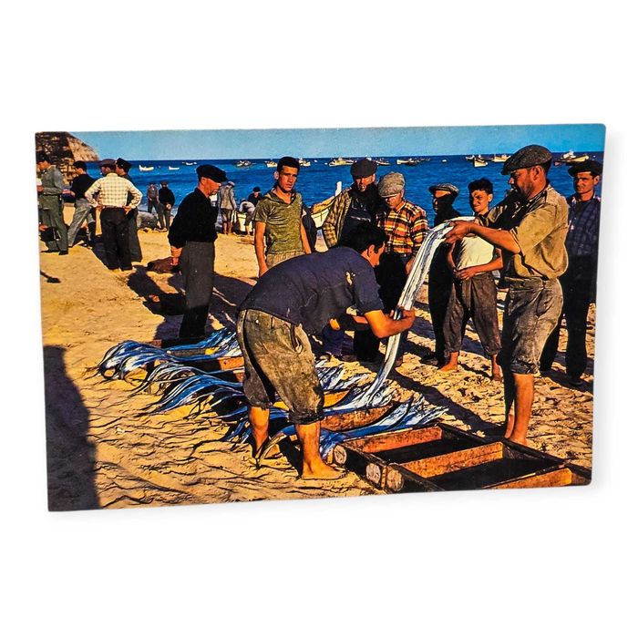 Postal Antigo–Sesimbra Portugal–Escolha de Peixe na Praia(Década 1950)