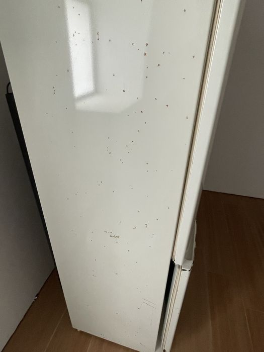 Frigorífico Indesit