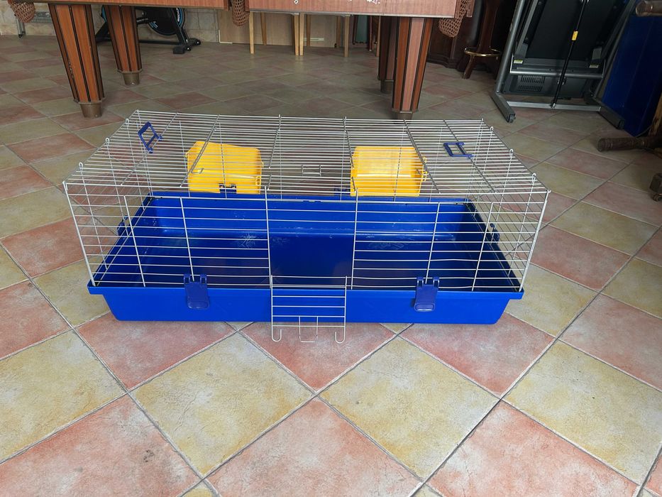 Gaiola Pocos da Índia/Coelhos