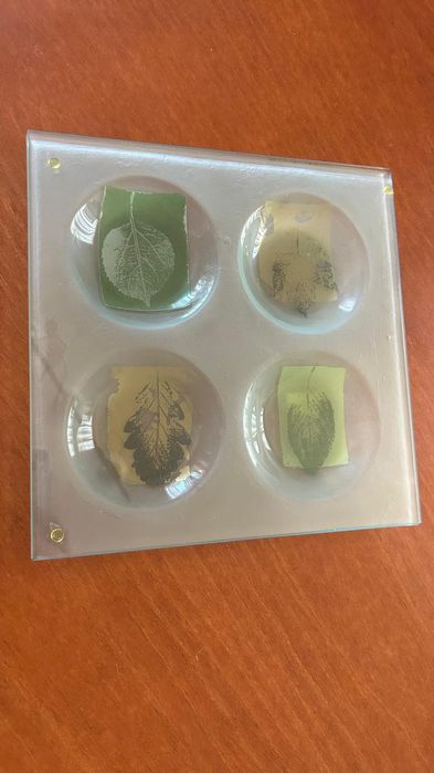 Prato decorativo com folhas - 4 Divisórias