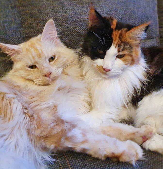 Angielski lekcje konwersacyjnie korepetycje