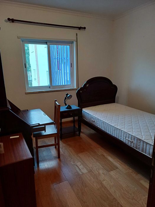 Quartos estudantes (f) junto politécnico beja