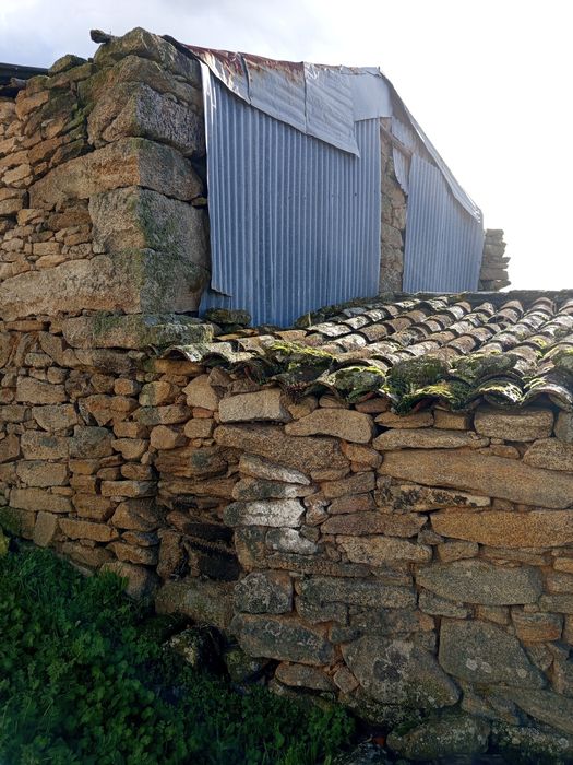 Vendo um armazém nos estevais de Moncorvo