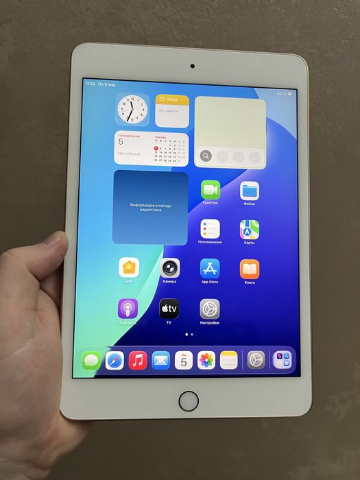 IPad Mini 5 Gold 256Gb