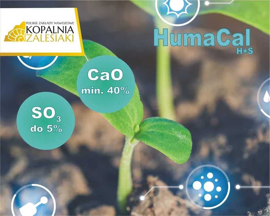 HumaCal H+S czarna kreda granulowana - Kopalnia Zalesiaki [podlasie ]