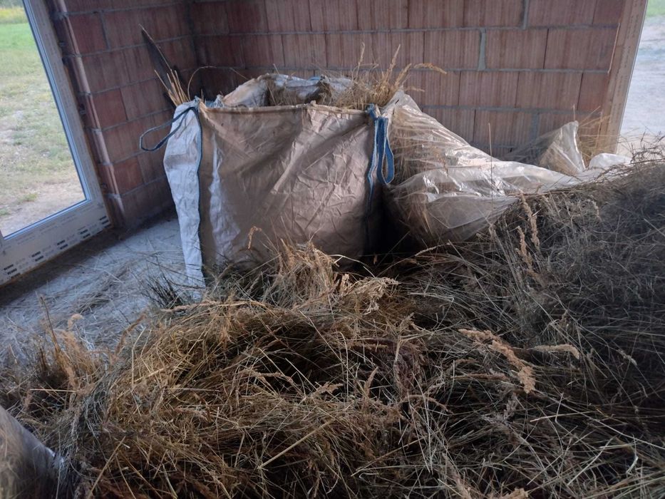 Siano luzem  z 06.2025 roku