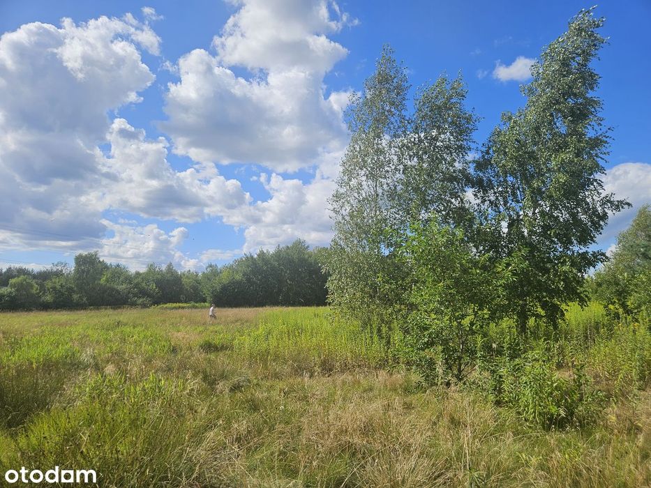 Działka budowlana w Malcanowie - Widok 3