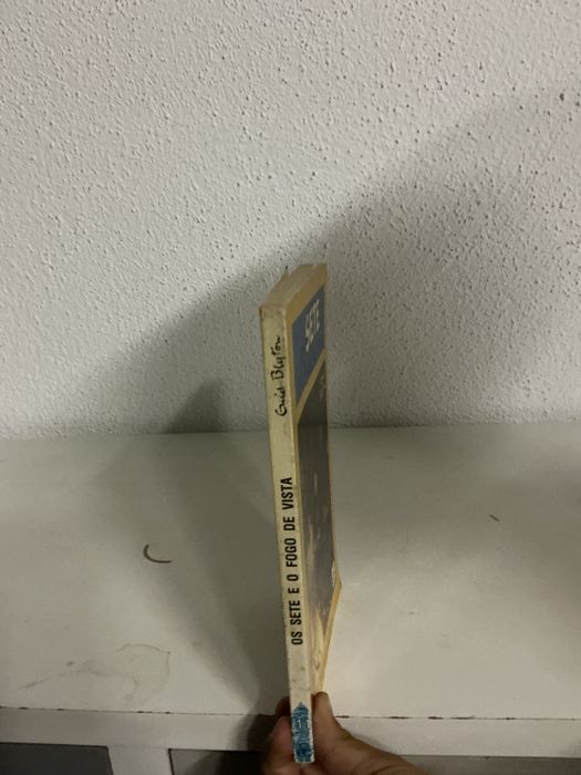 Livro Os Sete e o fogo de vista