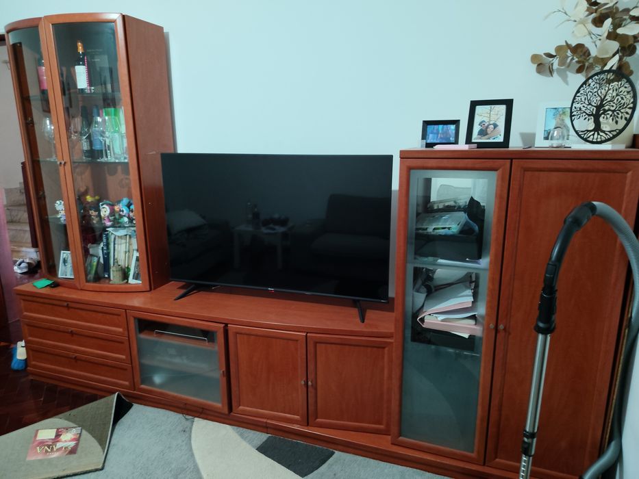 Vendo jogo de sofá, cinzento,de dois e três lugares, estante muito bonita em boas condições e tapete ótimo estado