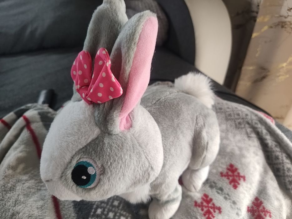 Interaktywny królik TUSIA