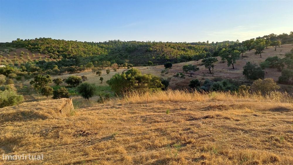 Rustic Land Plot of 6.82 Hectares in Alqueva with Ruins and a Well