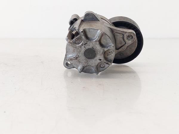 Tensor / esticador correia alternador MERCEDES-BENZ Classe M (W163)