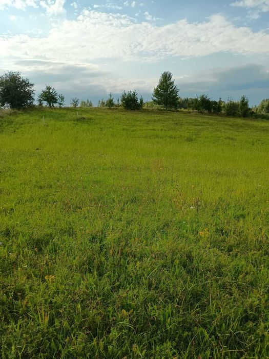 Działka o powierzchni 3000 m² z warunkami zabudowy, Mazury, Stare Juchy - Więcej