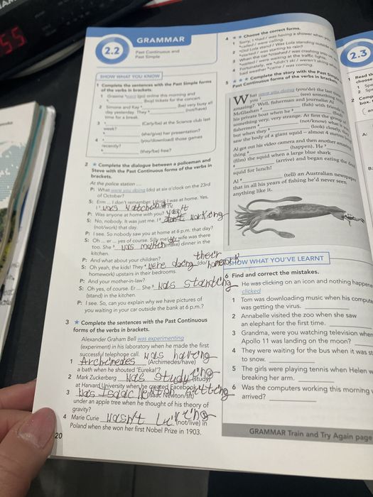 Focus 2  workbook A2+/ B1