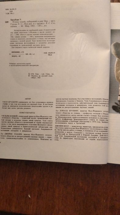 Птицы морей, побережий и рек