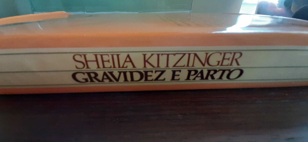 Livro: Gravidez e Parto - Sheila Kitzinger - Portes incluídos
