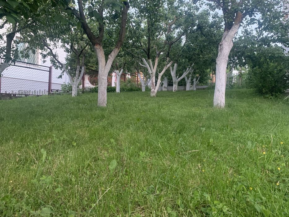 Огород для вирощування