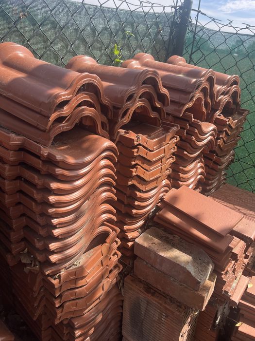 Dachowka Roben Bornholm gąsiory