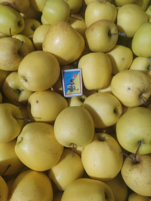 Продам яблука сортів Флоріна, Голден, Джонаголд, Айдаред, Пінова тільки ГУРТ
